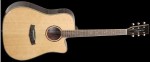 Tanglewood TRD CE