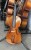 Skrzypce czeskie Violin-Racz "Dvorak"