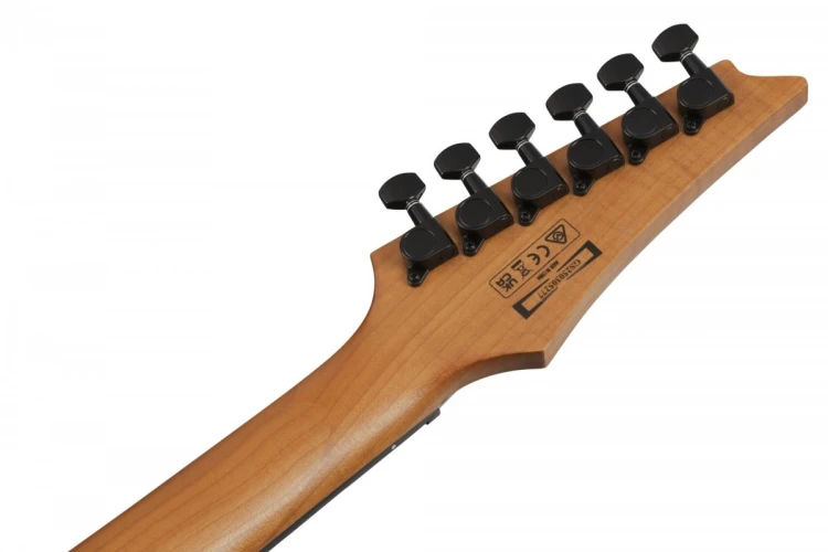 Ibanez GRGR221FA-TDK  Gitara Elektryczna