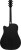Ibanez AW84CE WK - gitara elektroakustyczna