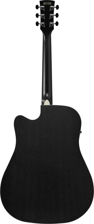 Ibanez AW84CE WK - gitara elektroakustyczna