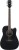 Ibanez AW84CE WK - gitara elektroakustyczna