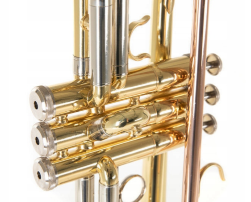 Trąbka Bb ROY BENSON TR-202
