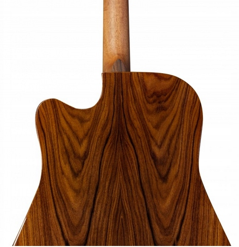 Dowina Rioja DCE FG SPE Lr Baggs - gitara elektroakustyczna