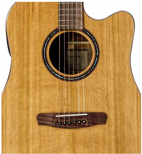 Dowina Rioja DCE FG SPE Lr Baggs - gitara elektroakustyczna