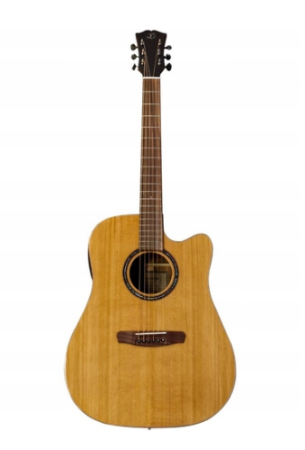 Dowina Rioja DCE FG SPE Lr Baggs - gitara elektroakustyczna