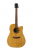 Dowina Rioja DCE FG SPE Lr Baggs - gitara elektroakustyczna