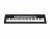CASIO-CTK-1550-15239.jpg