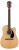 Fender FA-125CE WN Dreadnought NAT.jpg