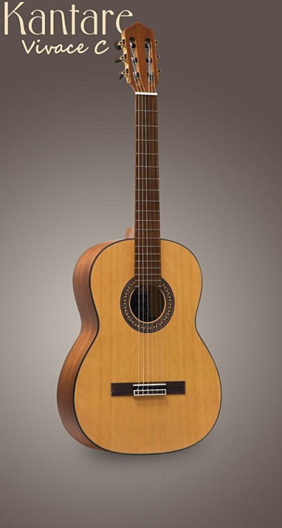 Vivace C.jpg
