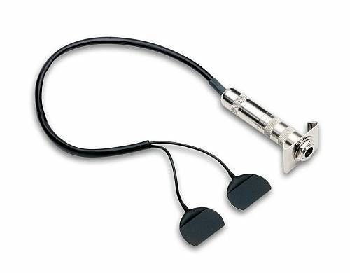 Fishman BP-100.jpg