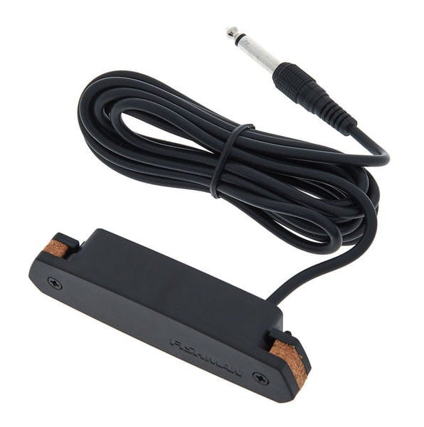 Fishman Neo-D Single Coil.jpg