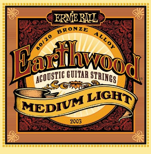 ernie ball 2003.jpg