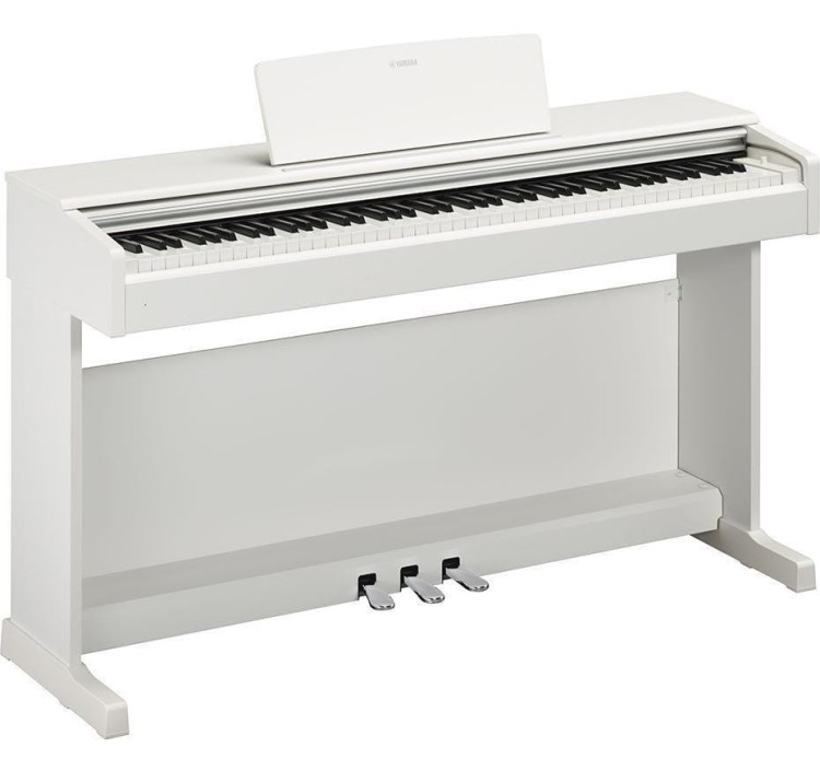 YDP 144 WH.jpg