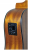 Ars Nova AN450CEQ