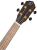 - ORTEGA RUEB-CC Ukulele