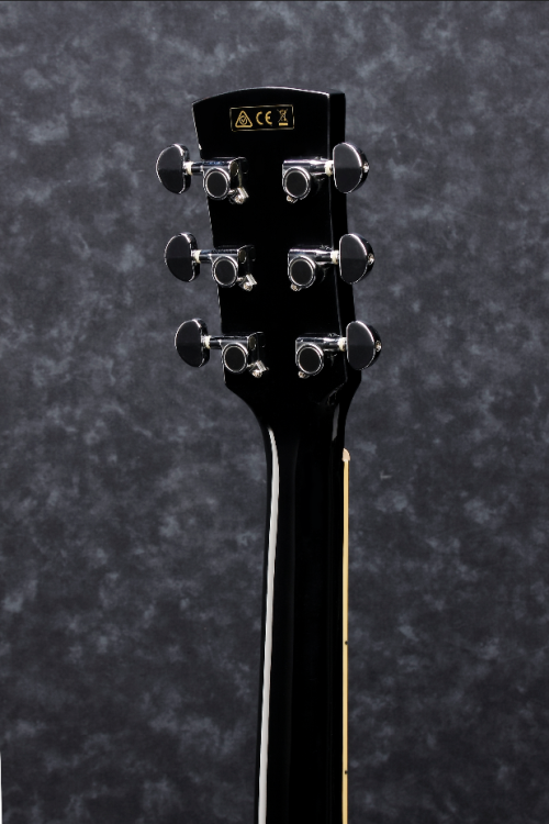Ibanez PF15ECE BK Gitara elektroakustyczna