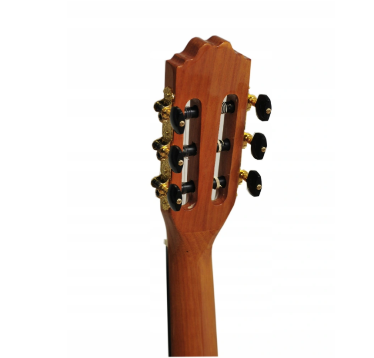 Gitara klasyczna EVER PLAY TAIKI ZEBRANO
