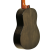 EVER PLAY TAIKI WALNUT(ORZECH)