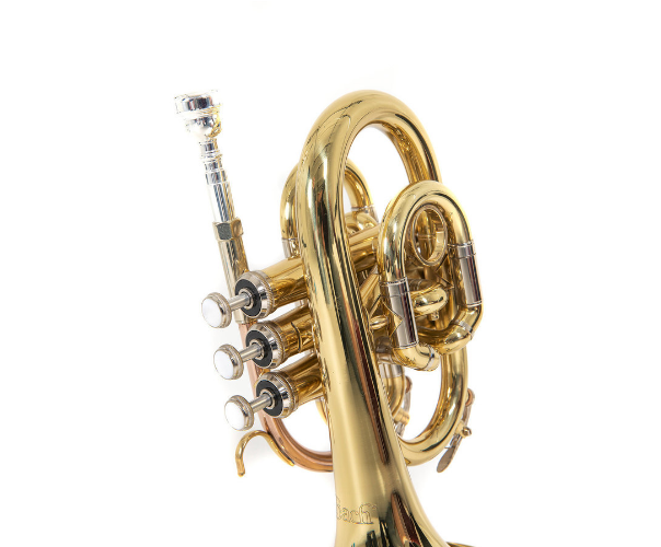 BACH PT650 TRĄBKA KIESZONKOWA