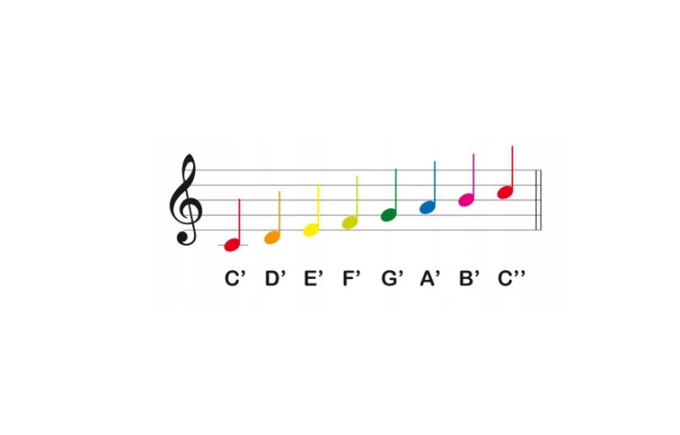 Bum Bum Rurki Diatoniczny Boomwhackers