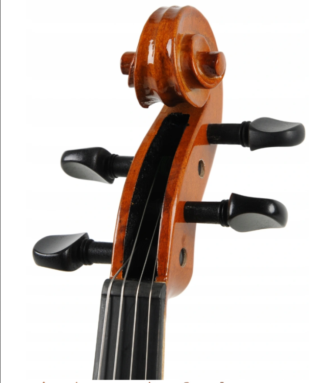 Stentor SR1018E skrzypce 1/2 Student Standard, zestaw