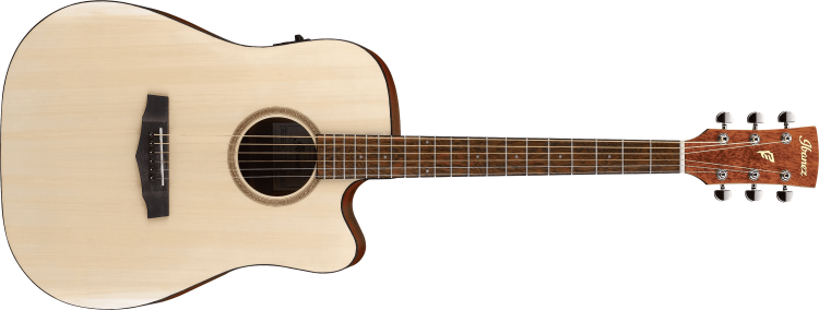 ibanez pf10ce.png