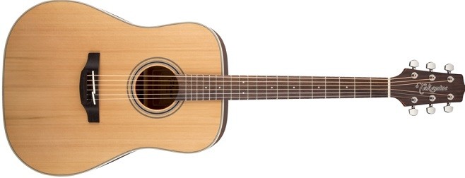 Takamine GD20 NS.jpg