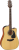 takamine_gd10ce-ns_pion.png