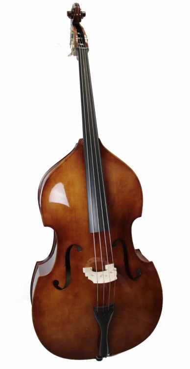Carlo-Giordano-SB-150-34-kontrabas.jpg