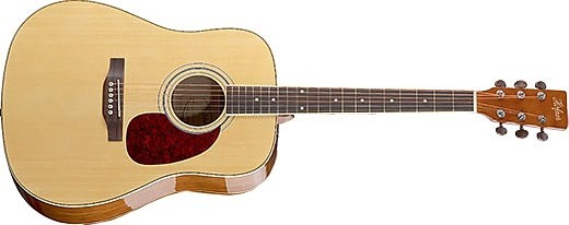 HOFNER HAS.jpg