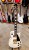 Harley Benton SC-500 WH Vintage Series