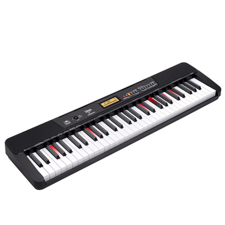 v-tone-vk-200-61l-08.jpg