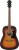 IBANEZ V50NJP-OVS GITARA AKUSTYCZNA PACK