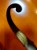 20250510_115756.jpg