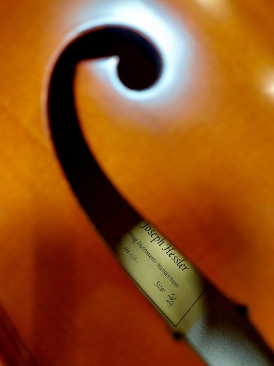 20250510_115756.jpg