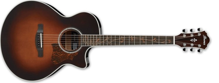 ibanez-ae205.jpg