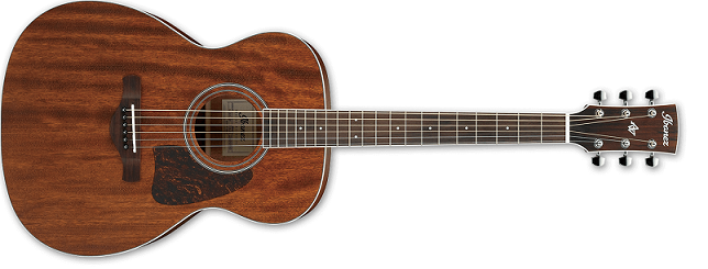 Ibanez AC340 OPN.png