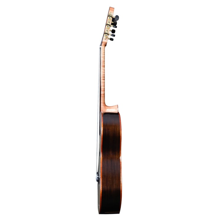 Martinez Torres Rosewood 650 (świerk) 4/4 gitara klasyczna z pokrowcem