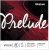 D'ADDARIO PRELUDE D J813 4/4 - Struna do skrzypiec