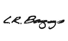 Producent: L.R.Baggs (przejdź do produktów)